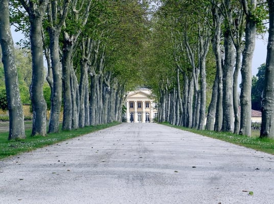 Château Margaux by null