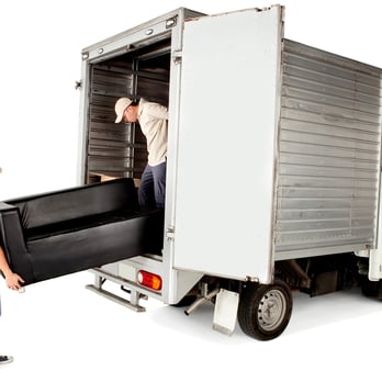 Shark moving & storage services - Movers Near Me Shark moving & storage services - Movers Near Me