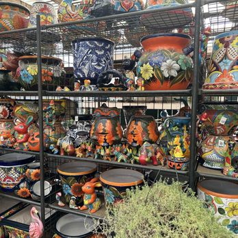 Plant Safari - Nurseries & Gardening Near Me - Upland, California Plant Safari - Nurseries & Gardening Near Me - Upland, California
