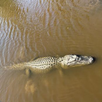 Grey Line Tours - Tours Near Me Grey Line Tours - Tours Near Me