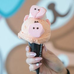 Eiswelt Gelato