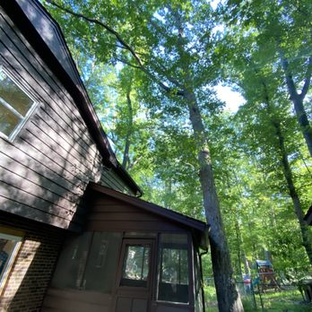 Mr Guzman Tree Services - Tree Services Near Me