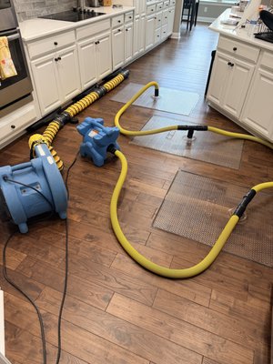Water Damage Equipment Rentals - DELIVERED! - Pureflow rents professional water damage drying equipment and provides delivery and pickup with all rental packages. We rent dehumidifiers, air movers, carpet extractors and HEPA air scrubbers, as well as other equipment not found at typical rental shops, such as hardwood floor drying mats, thermal cameras, and moisture meters. We also provide extension cords and drip pans with all dehumidifier rental packages. We offer optional equipment setup and can provide additional hands on services to help you dry out your space. Water Damage Equipment Rentals - DELIVERED! - Pureflow rents professional water damage drying equipment and provides delivery and pickup with all rental packages. We rent dehumidifiers, air movers, carpet extractors and HEPA air scrubbers, as well as other equipment not found at typical rental shops, such as hardwood floor drying mats, thermal cameras, and moisture meters. We also provide extension cords and drip pans with all dehumidifier rental packages. We offer optional equipment setup and can provide additional hands on services to help you dry out your space.