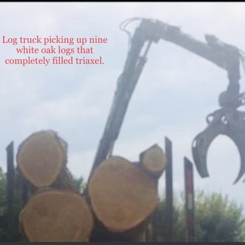 Best Price Tree Service - Tree Services Near Me - Hermitage, Pennsylvania