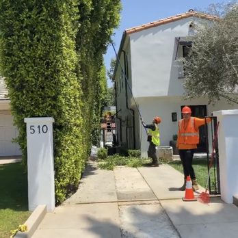 The Tree Guyz - Tree Services Near Me - Pomona, California The Tree Guyz - Tree Services Near Me - Pomona, California