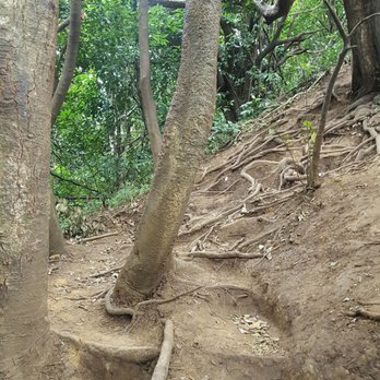 Pali Puka - The before the danger route - Hiking Near Me - Nu'uanu Pali, Hawaii Pali Puka - The before the danger route - Hiking Near Me - Nu'uanu Pali, Hawaii
