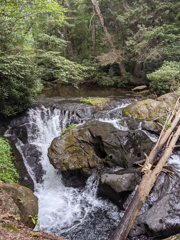 BELTZVILLE STATE PARK 80 Photos & 29 Reviews 2950 Pohopoco Dr
