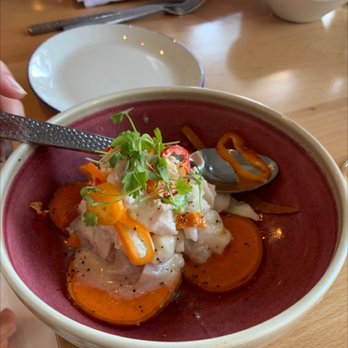 Fresco Cocina - Ceviche - Tacos Near Me - Carlsbad, California