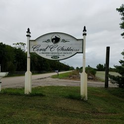 Coral C Stables - Best kept secret in horse stables.
