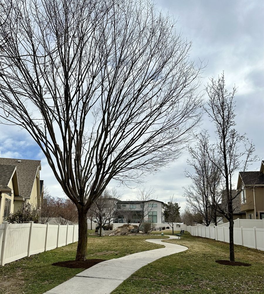 Wild Bills Tree Service - tree service in Salt Lake City, UT