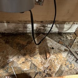 Aspen Ridge Management - After he scrubbed and sprayed the mold to be covered up again