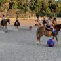 Photo of Canyonside Equestrian Center