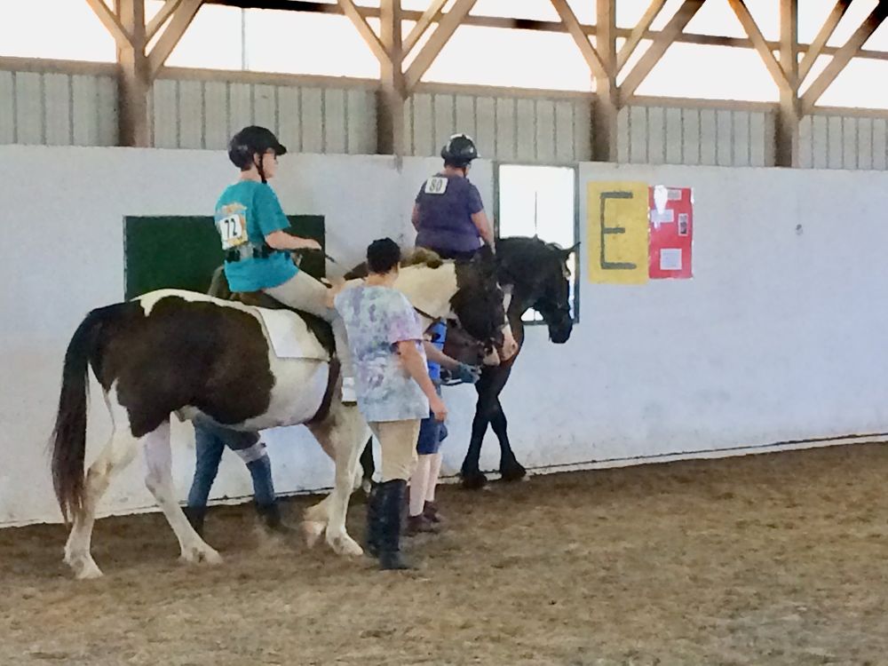 STAR EQUESTRIAN CENTER Updated September 2024 19 Photos 13674