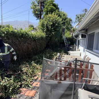 Leonel Tree Service - Tree Services Near Me Leonel Tree Service - Tree Services Near Me