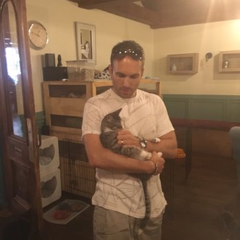 Brooklyn Cat Cafe - Husband playing with a cat - Pet Adoption Near Me - Brooklyn, New York