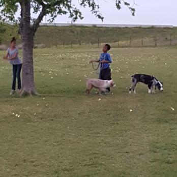 Devine Lake Park - At the unleashed area of the dog park - Lakes Near Me - Leander, Texas
