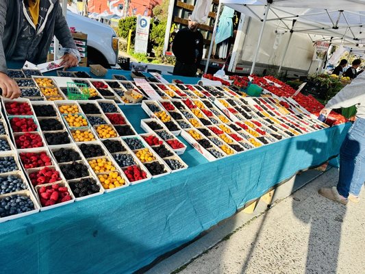 Pacific Beach Tuesday Farmers' Market by null