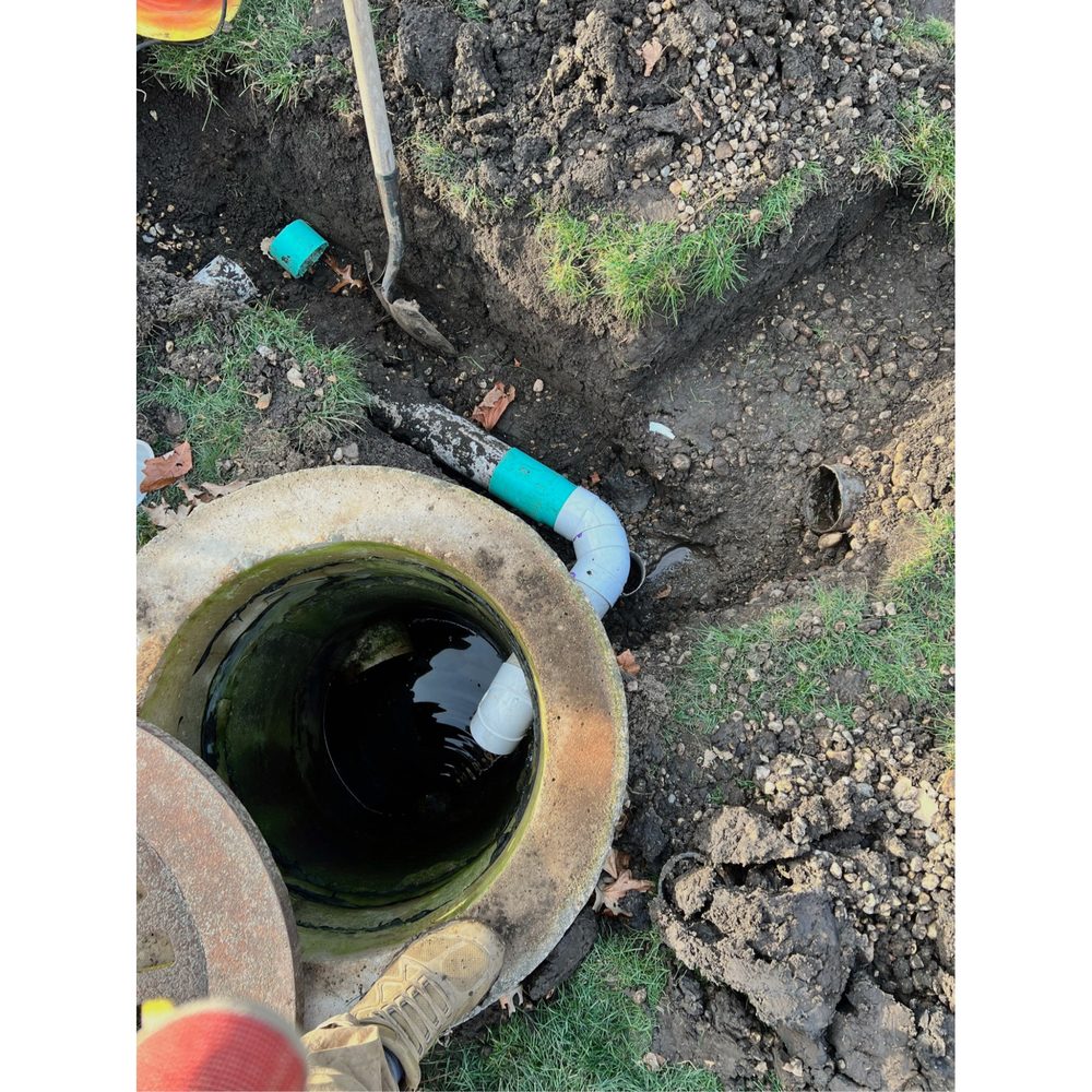 Slide of T. Dotson's Drains