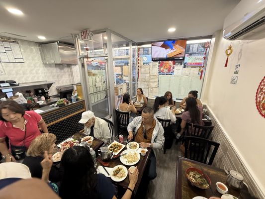 Deluxe Green Bo by null