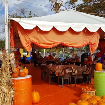 ABC Tree Farms - Pumpkin Patches Near Me - San Jose, California