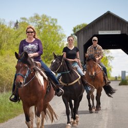 Broadleaf Guest Ranch - Trail Rides