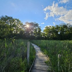 Koogler Wetland Prairie Reserve