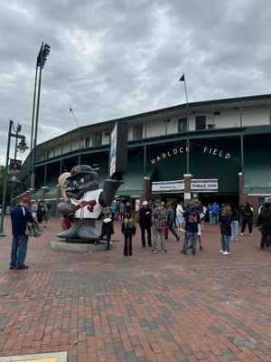 Hadlock Field by null