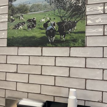 Meadowlark Dairy - Livermore - Ice Cream & Frozen Yogurt Near Me - Livermore, California