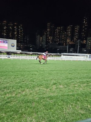 Happy Valley Racecourse by null
