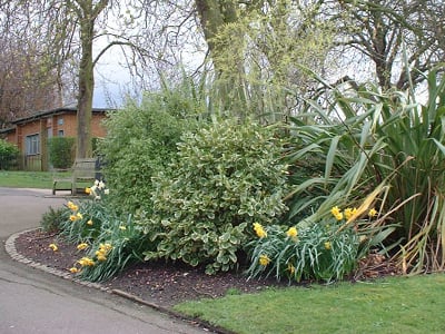 Horniman Museum and Gardens by null