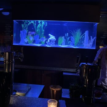 Punch House - a fish tank in a bar - Lounges Near Me - Chicago, Illinois Punch House - a fish tank in a bar - Lounges Near Me - Chicago, Illinois