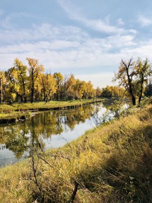 Inglewood Bird Sanctuary by null