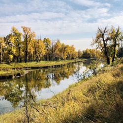 Inglewood Bird Sanctuary