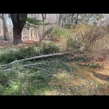 The Removal Guy - Demolition Services Near Me The Removal Guy - Demolition Services Near Me