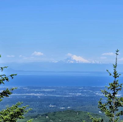 Hurricane Ridge by null