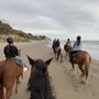 Photo of Santa Barbara Beach Horseback Rides