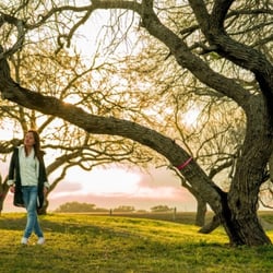 Dick Kleberg Park - The only park in kingsville