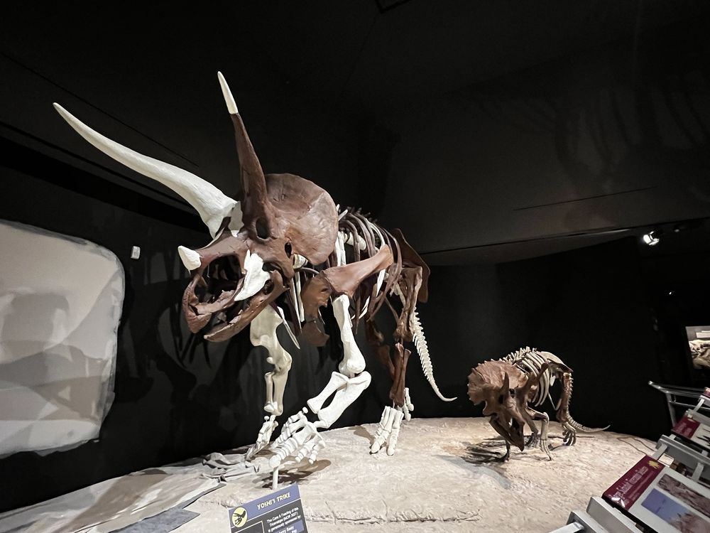 Social spots from Museum of the Rockies