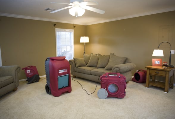 PuroClean Fire & Water Experts by null