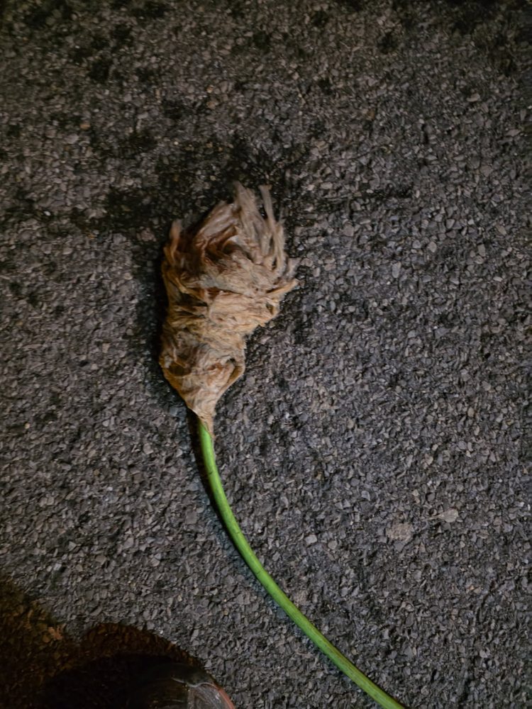 Slide of Fullerton Plumbing And Drain Cleaning