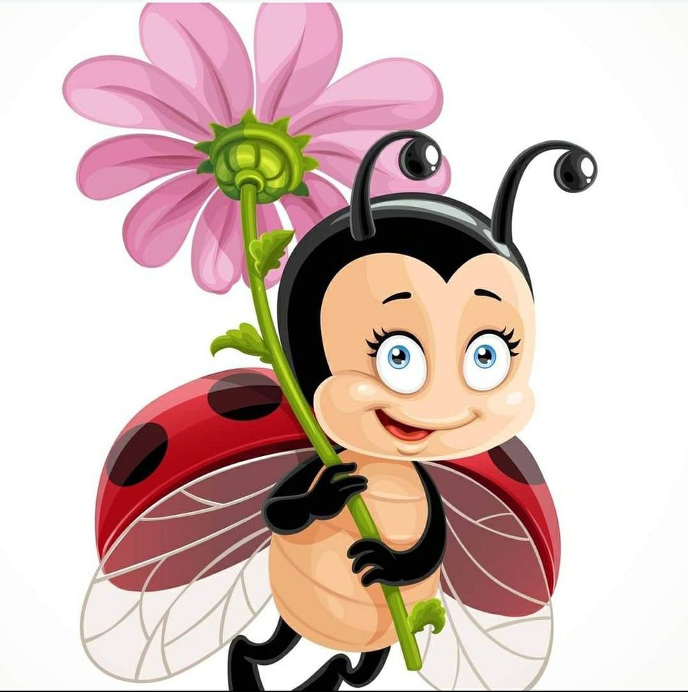 CAROLINA’S HOUSE CLEANING Escondido, California Home Cleaning