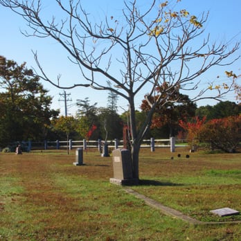 Old North Cemetery - Spooky tree - Landmarks & Historical Buildings Near Me - North Truro, Massachusetts Old North Cemetery - Spooky tree - Landmarks & Historical Buildings Near Me - North Truro, Massachusetts