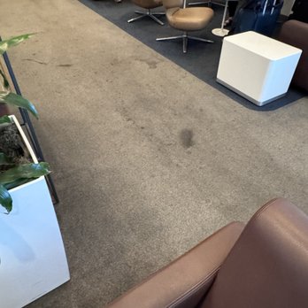 Lufthansa Senator Lounge - Filthy carper - Airport Lounges Near Me - Detroit, Michigan