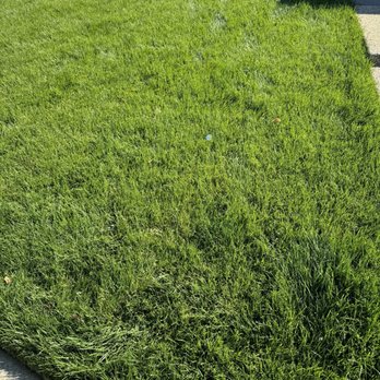 Garden Bros Landscape Services - Front yard with new sod. I love this. - Landscaping Near Me