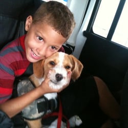 C and C Grooming - Love from the Heart