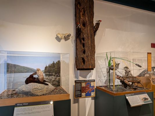 George B. Dorr Museum of Natural History by null