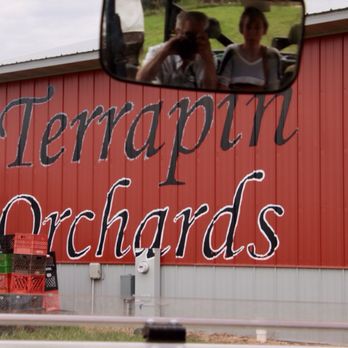Terrapin Orchards - Sign - Pick Your Own Farms Near Me - Elizabeth, Illinois