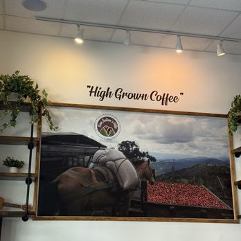 San Julian's Coffee - Decor - Coffee & Tea Near Me - Winter Park, Florida San Julian's Coffee - Decor - Coffee & Tea Near Me - Winter Park, Florida