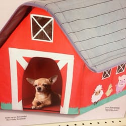 Christmas Tree Shops - Odd inflatable pet barn - My chihuahua would not have a thing to do with this!