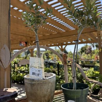 ARMSTRONG GARDEN CENTERS - Updated January 2026 - 72 Photos & 99